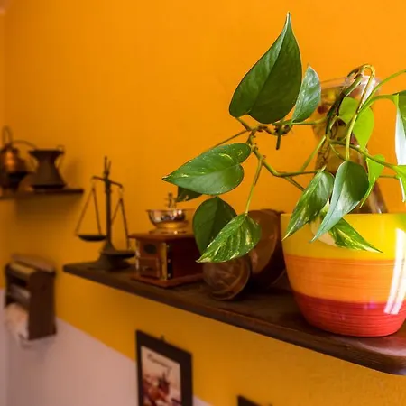 Appartamento Casa Sul Corso